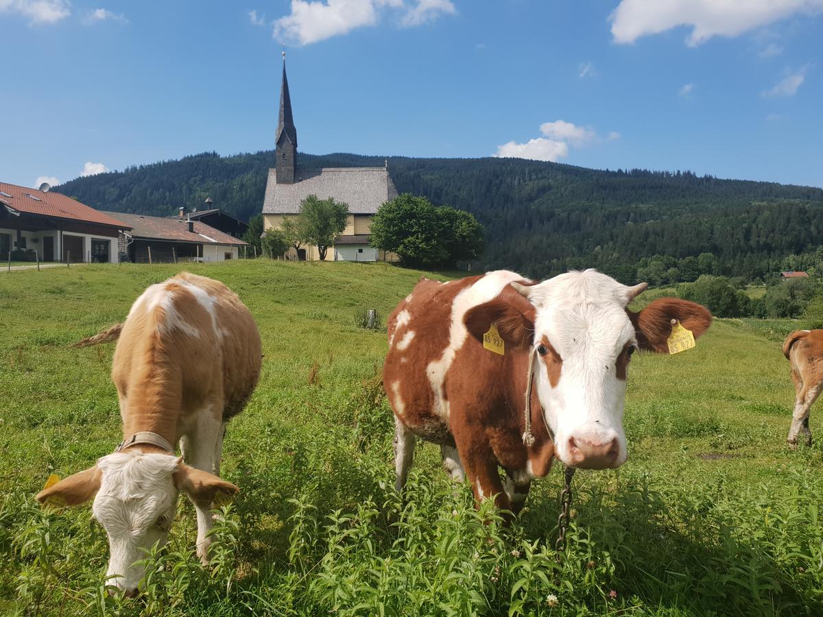 Alpenhotel Gastager Inzell Eksteriør bilde
